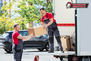 DIY Interstate Move vs Hiring Professional Interstate Removalists